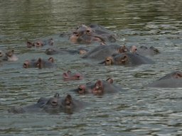 Western_Corridor_(Kirawira)2003-076